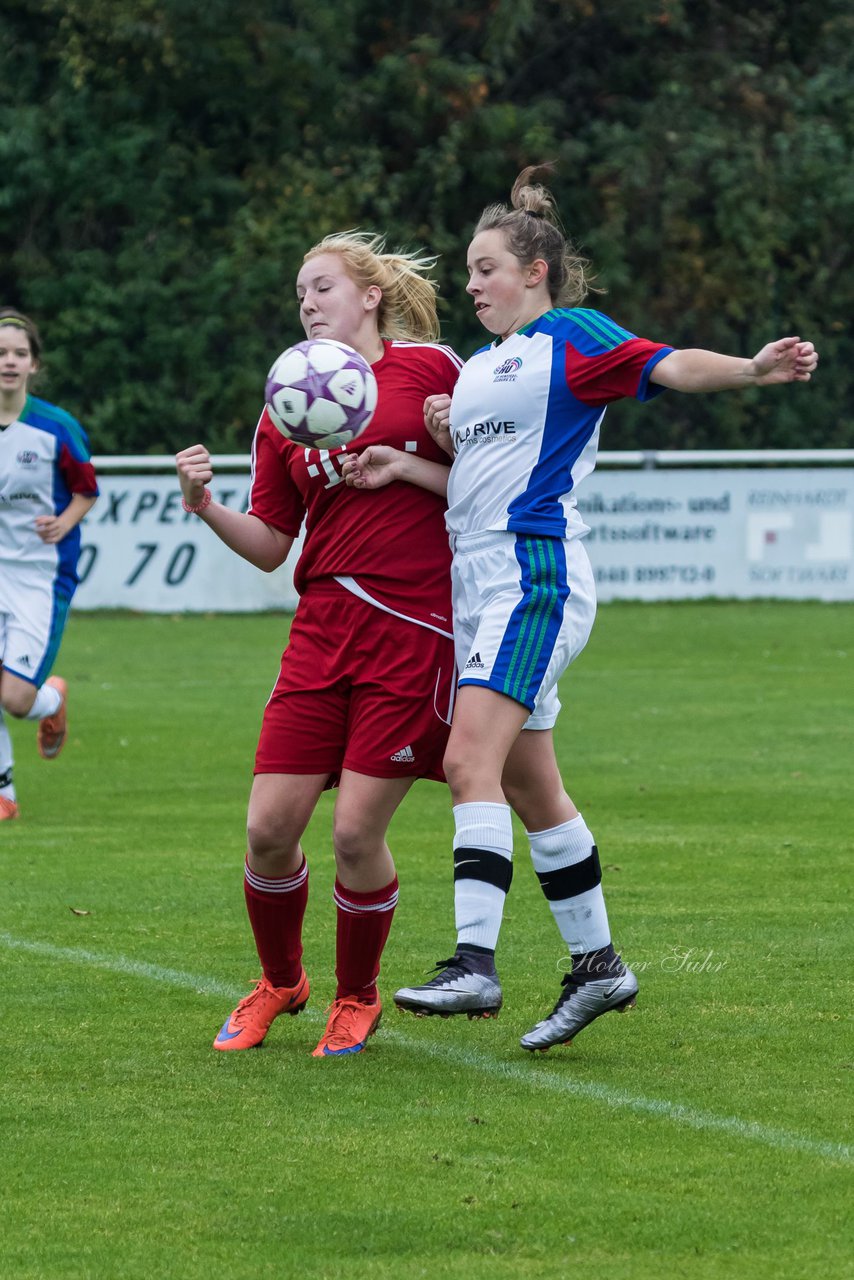 Bild 202 - B-Juniorinnen SV Henstedt Ulzburg - SV Wahlstedt : Ergebnis: 11:0